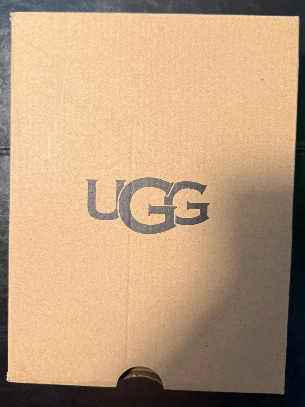 NWT UGG Kids Chestnut Hamdi Suede Zip Ankle Boots Unisex Toddler Size 9